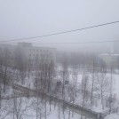 Коля