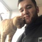 Амир