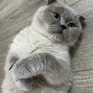 Максим