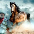 Вадим