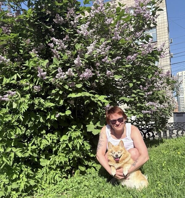 Жаворонок