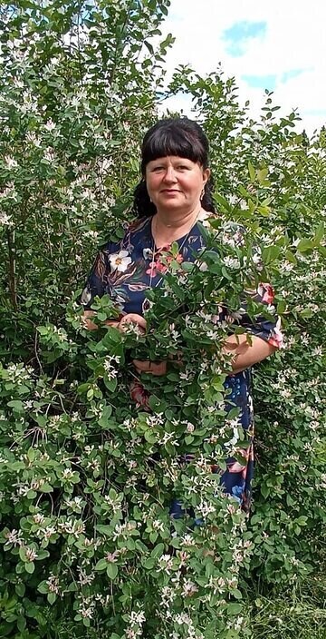 Елена