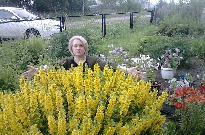 Светлана