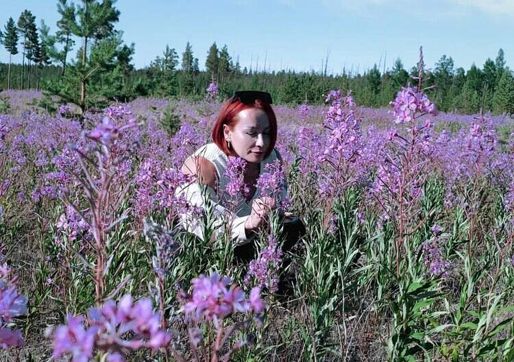 Елена