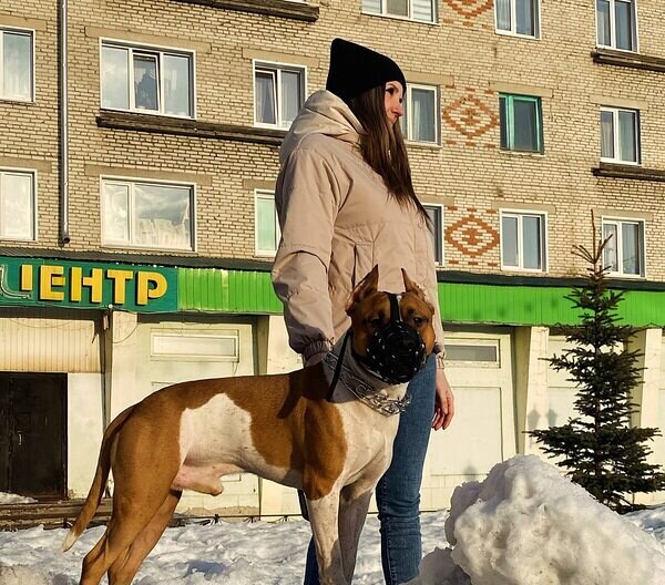 Соня