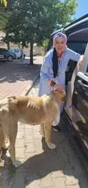 Ольга