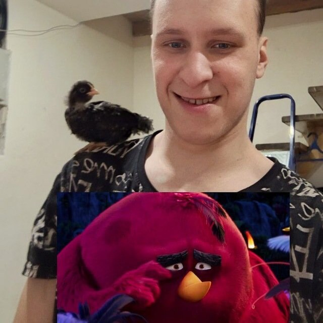Витяи