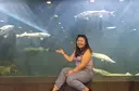 Gulia