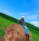 Роза