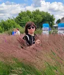 Natа