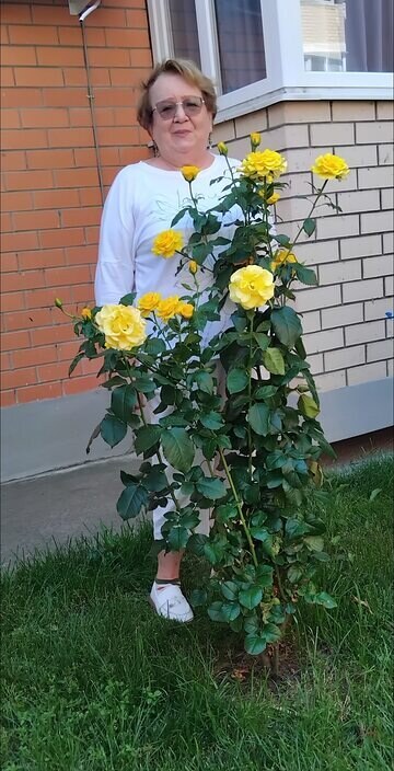 Милена