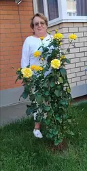 Милена