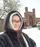 Лиса