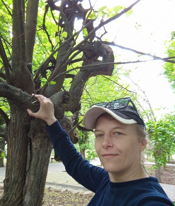Елена