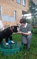 Вероника