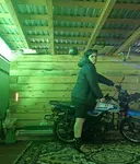 Алёна
