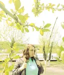 Елен