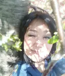 Феникс