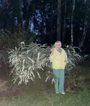 Лариса