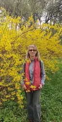 Алина