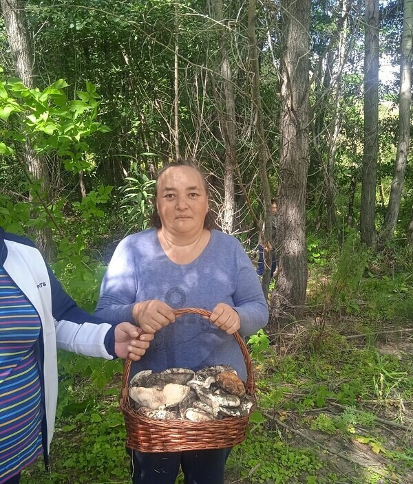 Зимфира