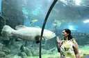 Любовь