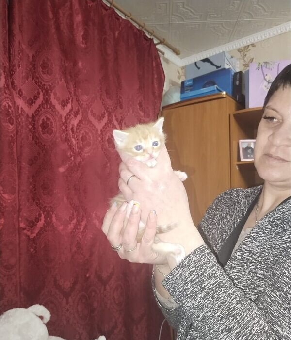 Ириша