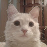 Кир