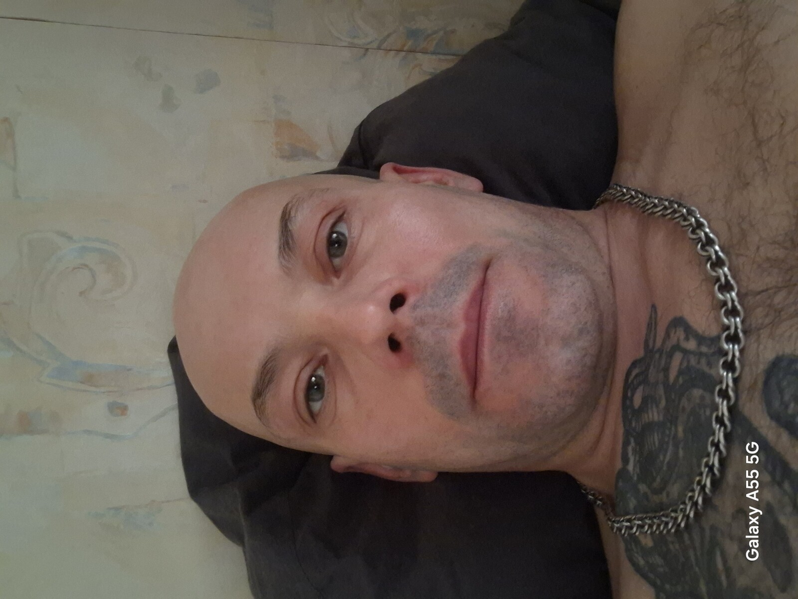 Dima