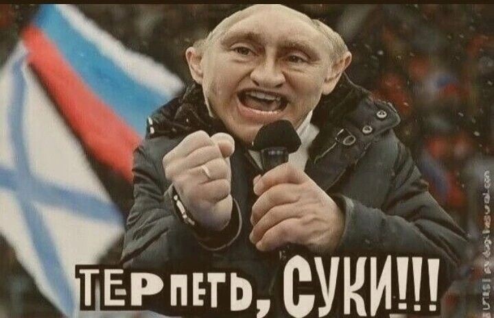 Миша