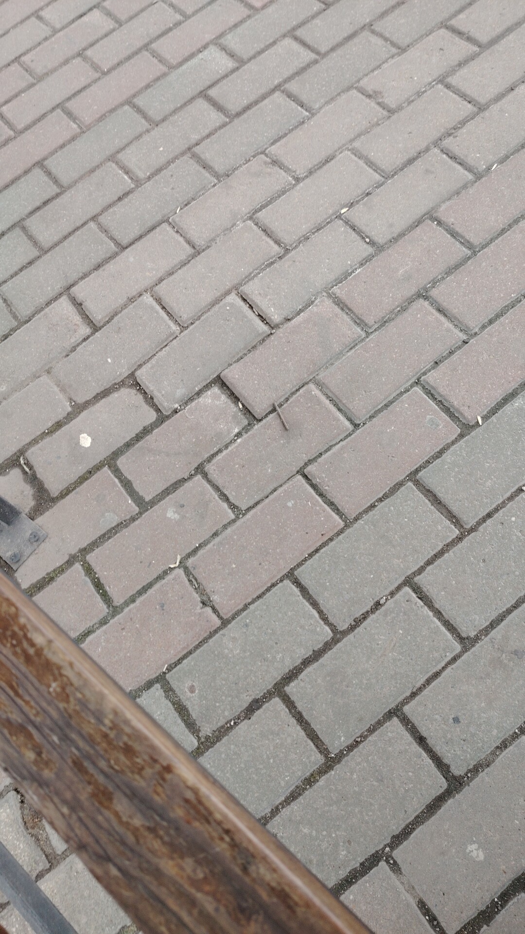 Петр