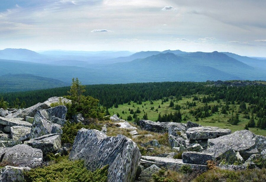 Антоша