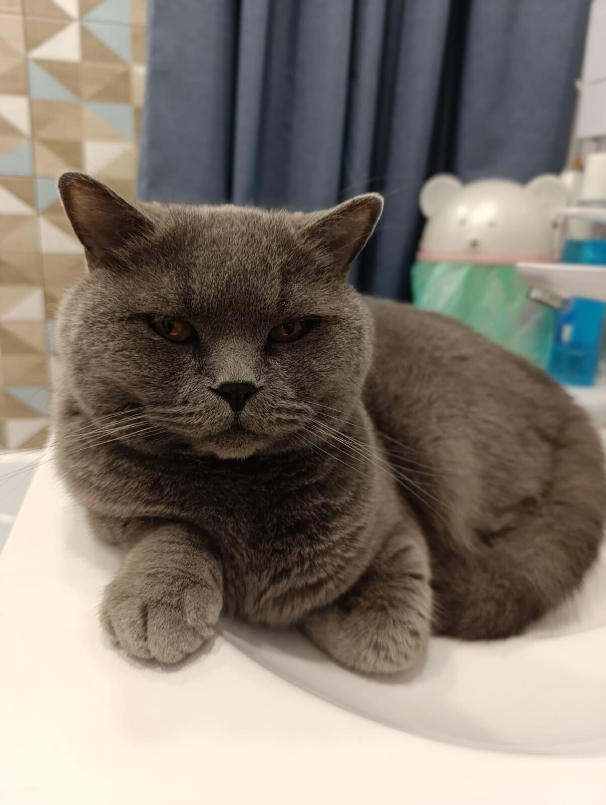 Дмитрий