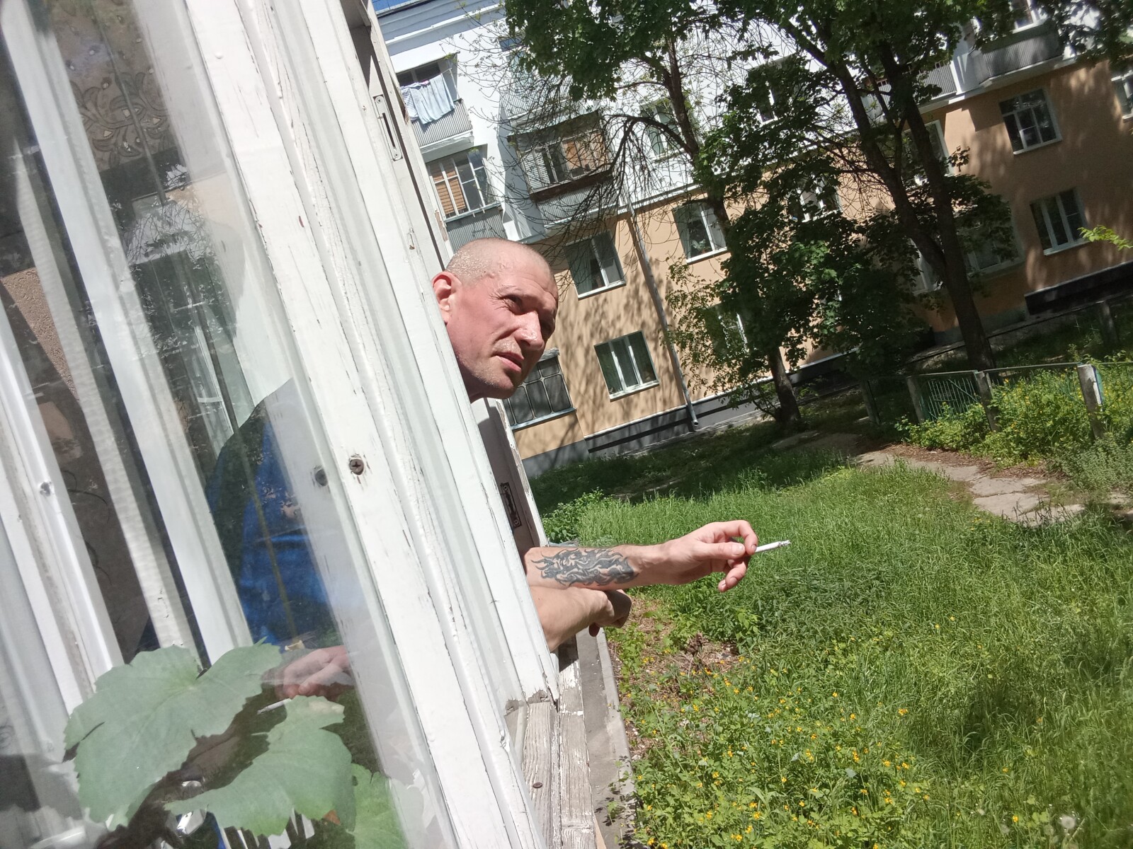 Вовчик 23